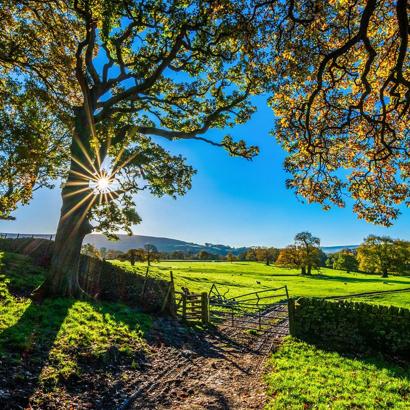 Farm Healing